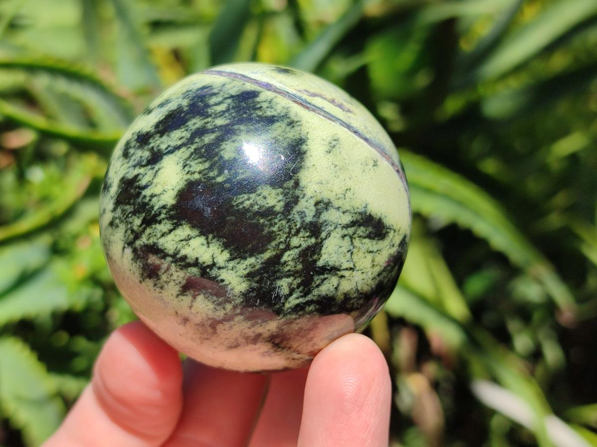 Polished Leopard Stone Spheres x 6 From Zimbabwe - Toprock Gemstones and Minerals 