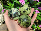 Polished Leopard Stone Spheres x 6 From Zimbabwe - Toprock Gemstones and Minerals 