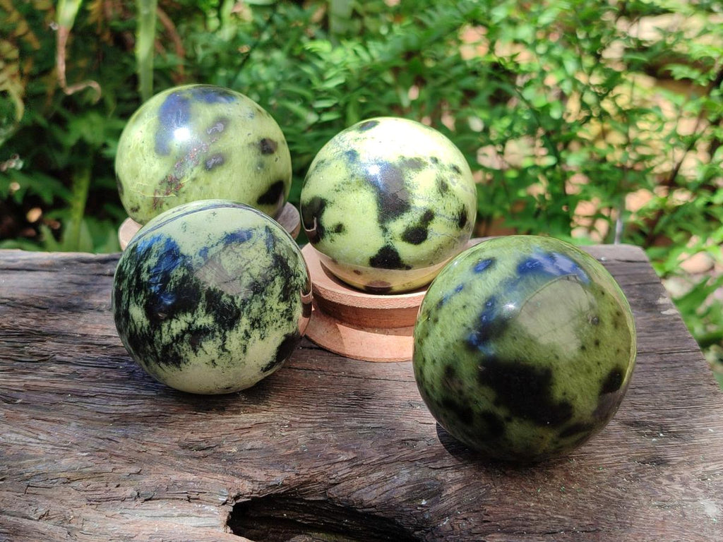 Polished Leopard Stone Spheres x 6 From Zimbabwe - Toprock Gemstones and Minerals 