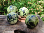Polished Leopard Stone Spheres x 6 From Zimbabwe - Toprock Gemstones and Minerals 