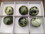 Polished Leopard Stone Spheres x 6 From Zimbabwe - Toprock Gemstones and Minerals 