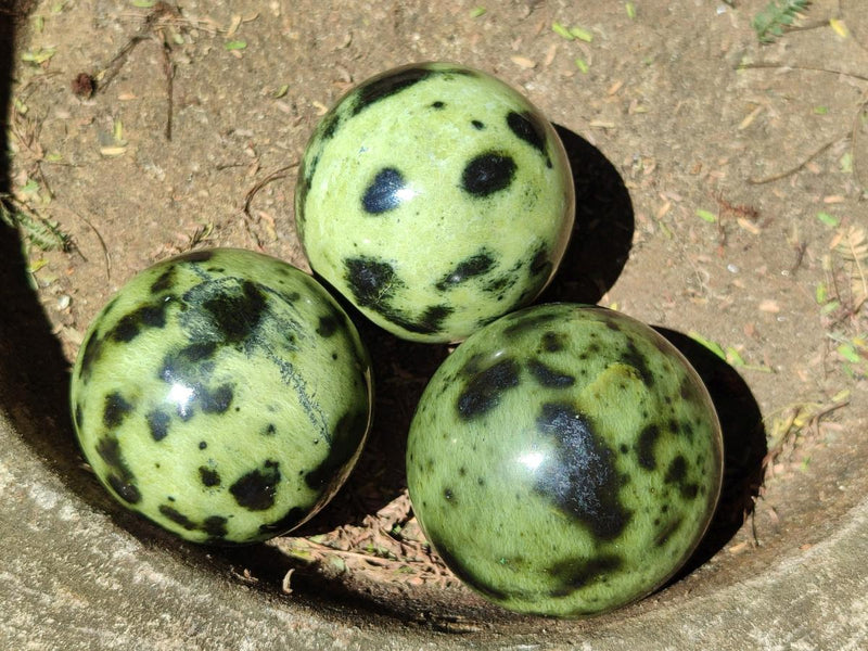 Polished Leopard Stone Spheres x 6 From Zimbabwe - Toprock Gemstones and Minerals 