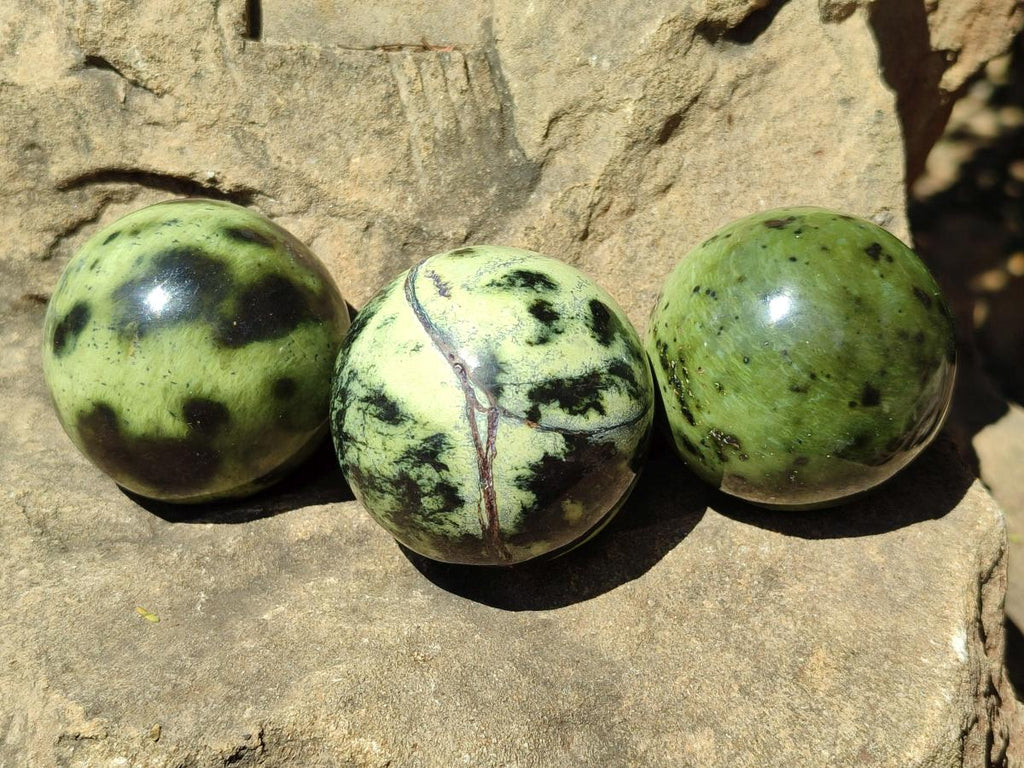Polished Leopard Stone Spheres x 6 From Zimbabwe - Toprock Gemstones and Minerals 