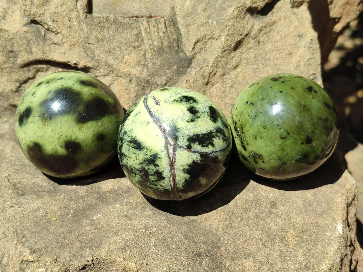 Polished Leopard Stone Spheres x 6 From Zimbabwe - Toprock Gemstones and Minerals 