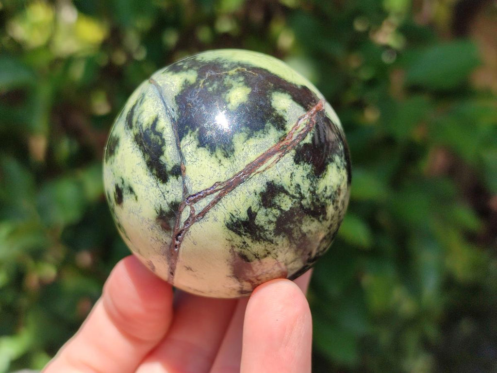 Polished Leopard Stone Spheres x 6 From Zimbabwe - Toprock Gemstones and Minerals 