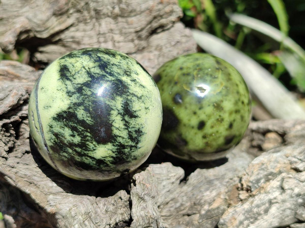Polished Leopard Stone Spheres x 6 From Zimbabwe - Toprock Gemstones and Minerals 
