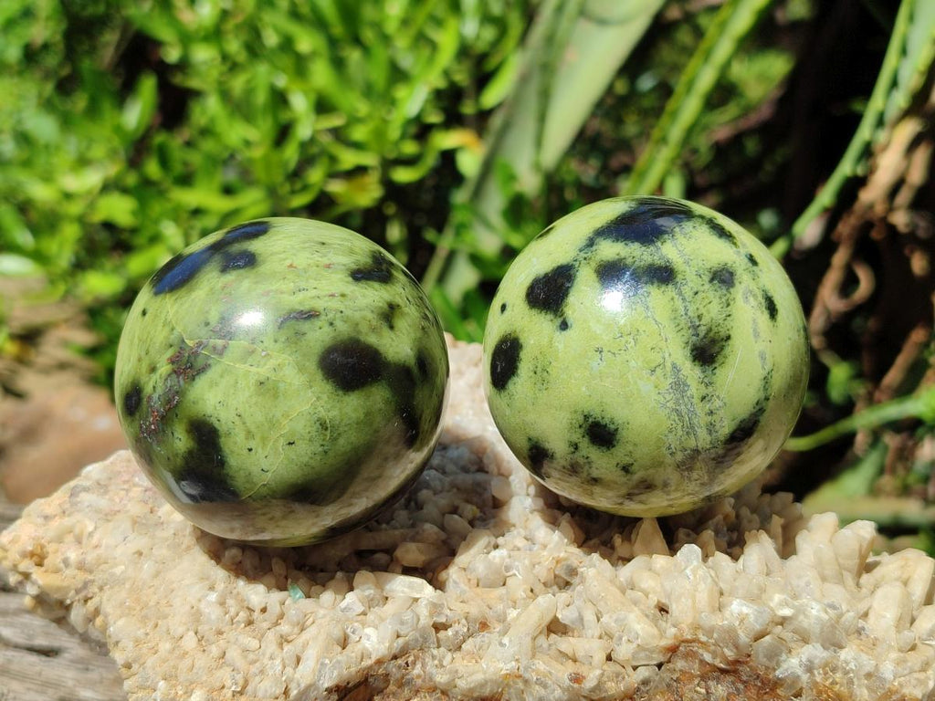 Polished Leopard Stone Spheres x 6 From Zimbabwe - Toprock Gemstones and Minerals 