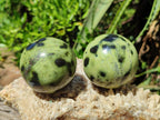 Polished Leopard Stone Spheres x 6 From Zimbabwe - Toprock Gemstones and Minerals 