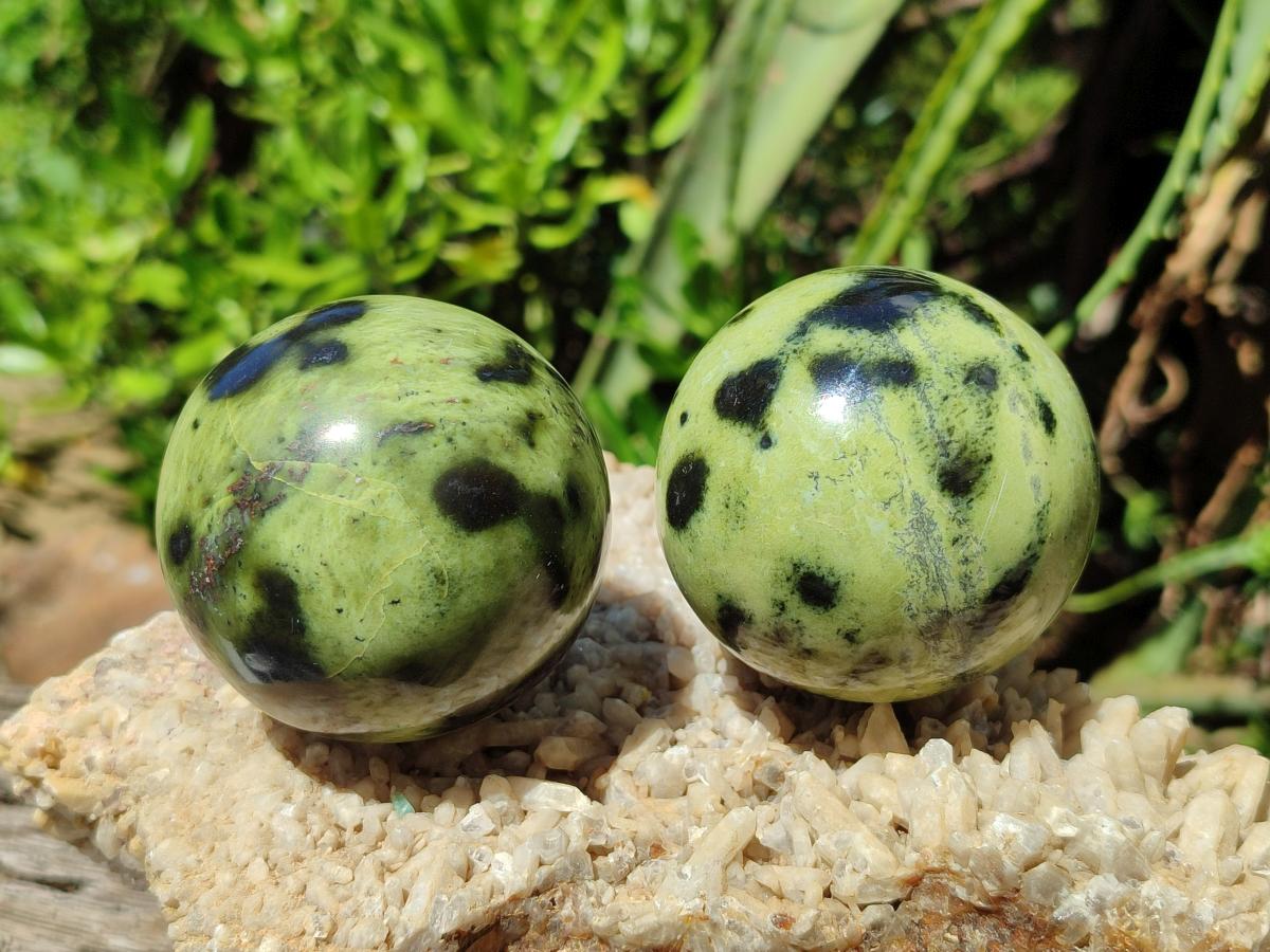 Polished Leopard Stone Spheres x 6 From Zimbabwe - Toprock Gemstones and Minerals 