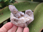 Natural Limonite Fairy Spirit Quartz Clusters x 12 From Boekenhouthoek, South Africa - Toprock Gemstones and Minerals 