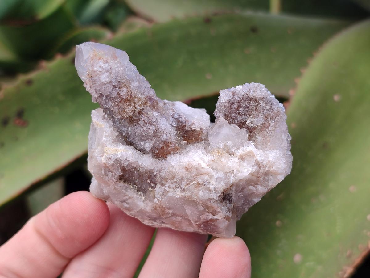 Natural Limonite Fairy Spirit Quartz Clusters x 12 From Boekenhouthoek, South Africa - Toprock Gemstones and Minerals 