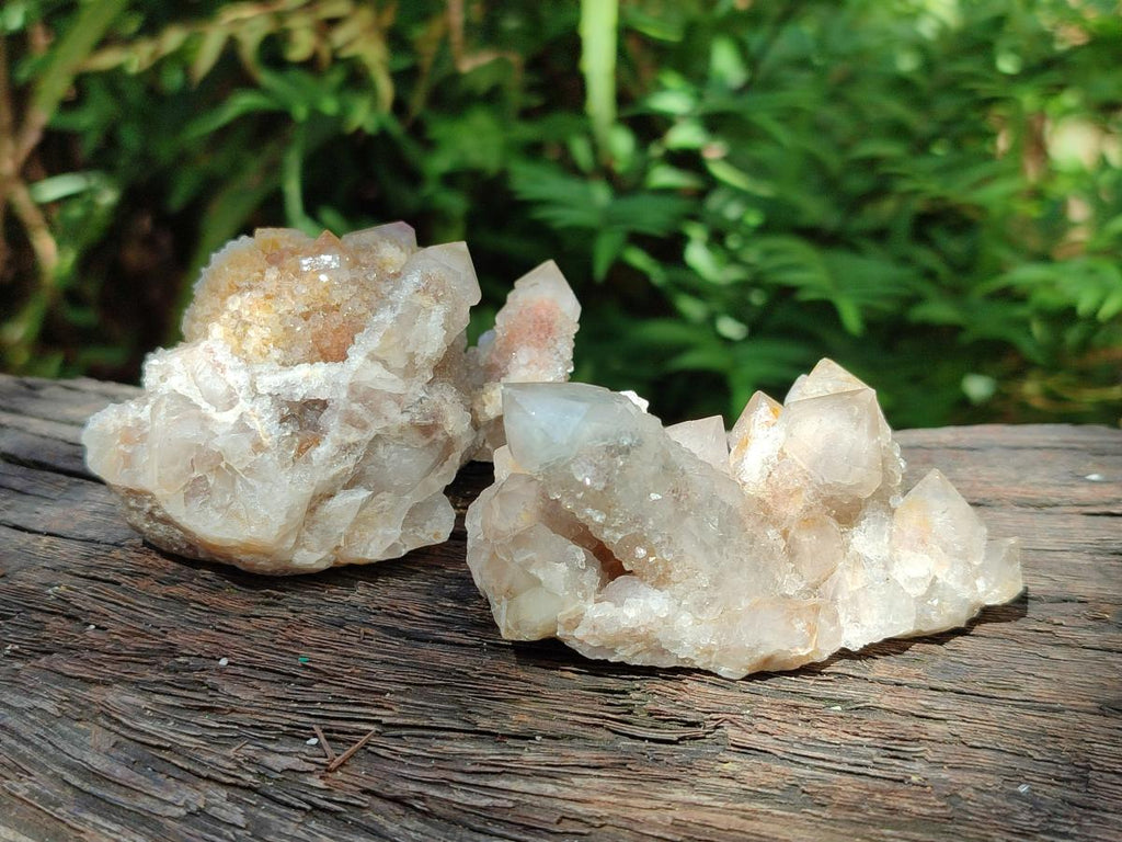 Natural Limonite Fairy Spirit Quartz Clusters x 12 From Boekenhouthoek, South Africa - Toprock Gemstones and Minerals 