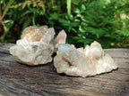 Natural Limonite Fairy Spirit Quartz Clusters x 12 From Boekenhouthoek, South Africa - Toprock Gemstones and Minerals 