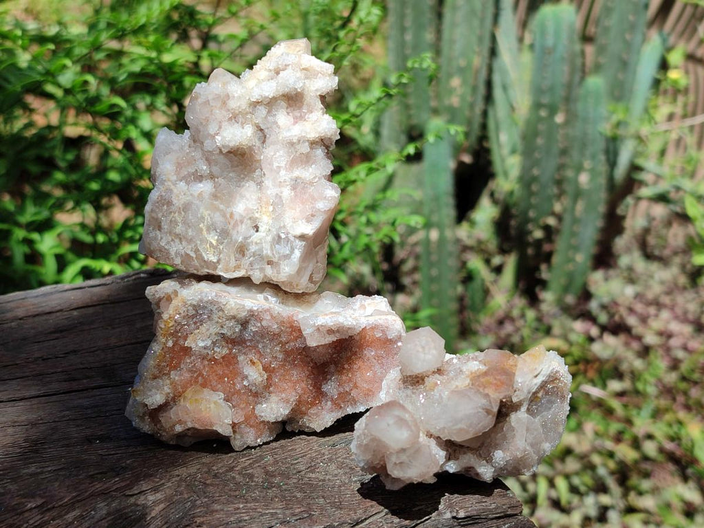 Natural Limonite Fairy Spirit Quartz Clusters x 12 From Boekenhouthoek, South Africa - Toprock Gemstones and Minerals 