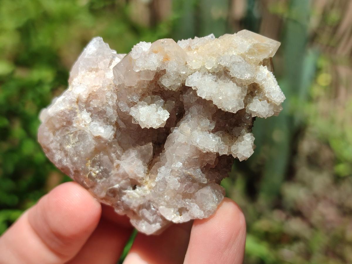 Natural Limonite Fairy Spirit Quartz Clusters x 12 From Boekenhouthoek, South Africa - Toprock Gemstones and Minerals 