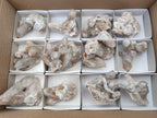 Natural Limonite Fairy Spirit Quartz Clusters x 12 From Boekenhouthoek, South Africa - Toprock Gemstones and Minerals 