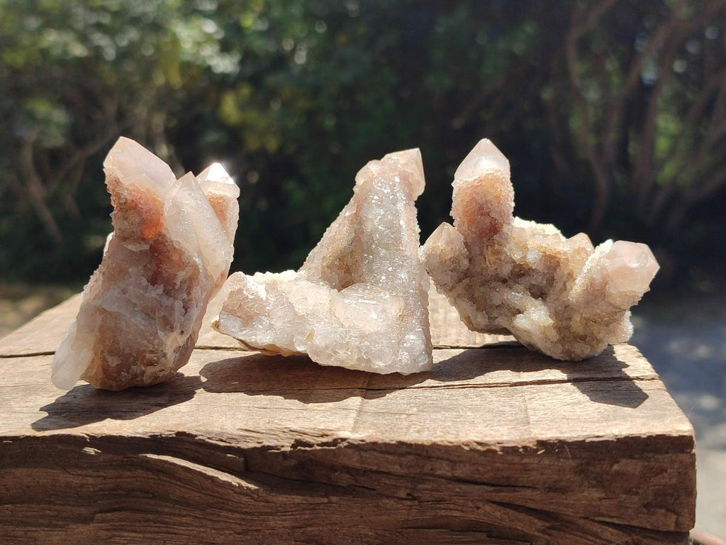 Natural Limonite Fairy Spirit Quartz Clusters x 12 From Boekenhouthoek, South Africa - Toprock Gemstones and Minerals 