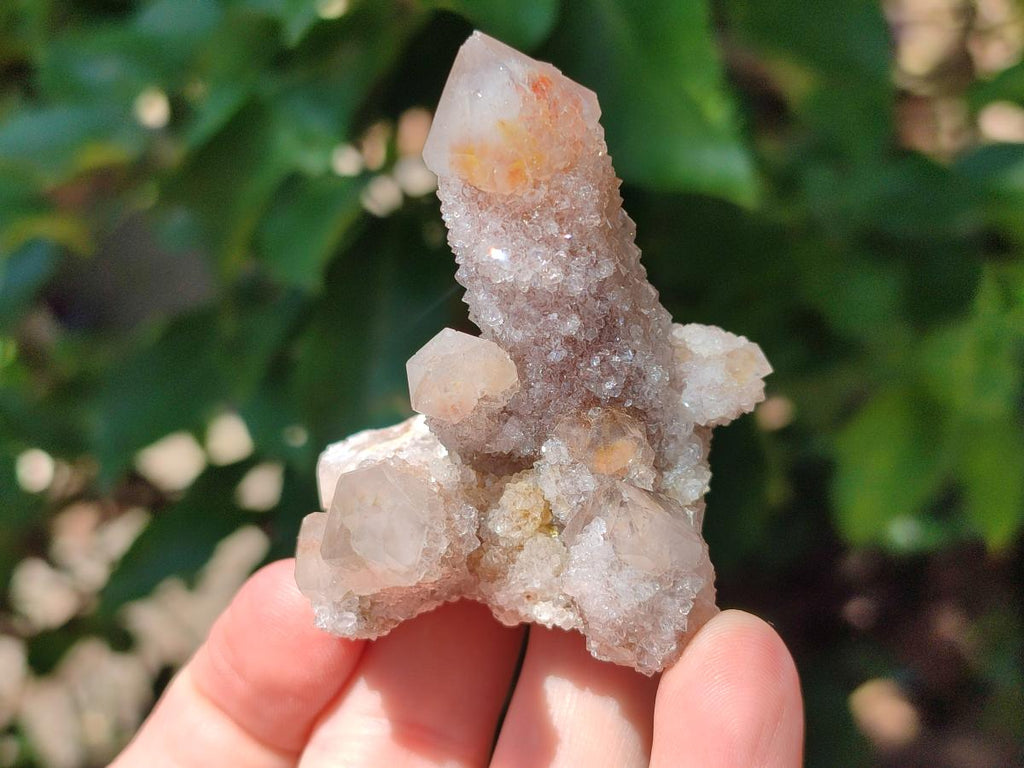 Natural Limonite Fairy Spirit Quartz Clusters x 12 From Boekenhouthoek, South Africa - Toprock Gemstones and Minerals 