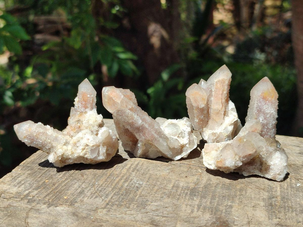 Natural Limonite Fairy Spirit Quartz Clusters x 12 From Boekenhouthoek, South Africa - Toprock Gemstones and Minerals 