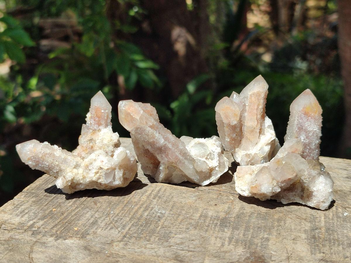 Natural Limonite Fairy Spirit Quartz Clusters x 12 From Boekenhouthoek, South Africa - Toprock Gemstones and Minerals 