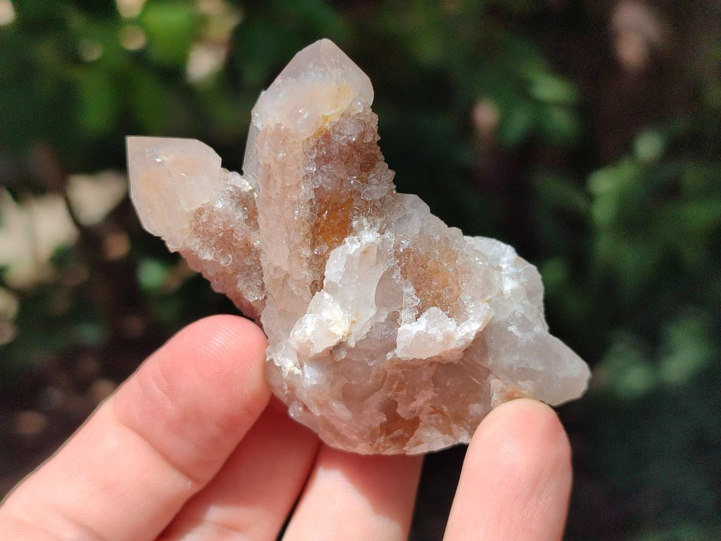 Natural Limonite Fairy Spirit Quartz Clusters x 12 From Boekenhouthoek, South Africa - Toprock Gemstones and Minerals 