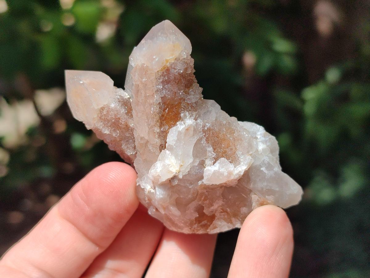 Natural Limonite Fairy Spirit Quartz Clusters x 12 From Boekenhouthoek, South Africa - Toprock Gemstones and Minerals 