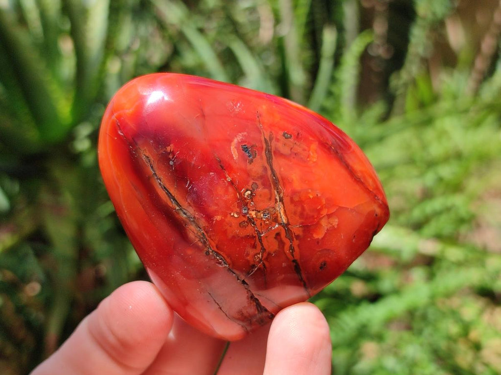 Polished Carnelian Agate Gemstone Standing Free Forms x 6 From Madagascar - Toprock Gemstones and Minerals 