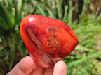 Polished Carnelian Agate Gemstone Standing Free Forms x 6 From Madagascar - Toprock Gemstones and Minerals 