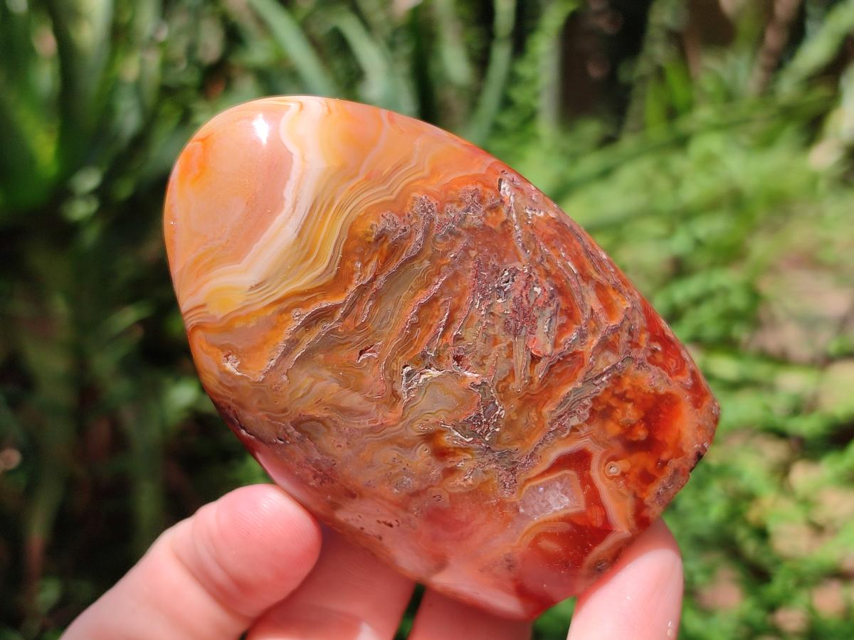 Polished Carnelian Agate Gemstone Standing Free Forms x 6 From Madagascar - Toprock Gemstones and Minerals 