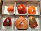 Polished Carnelian Agate Gemstone Standing Free Forms x 6 From Madagascar - Toprock Gemstones and Minerals 