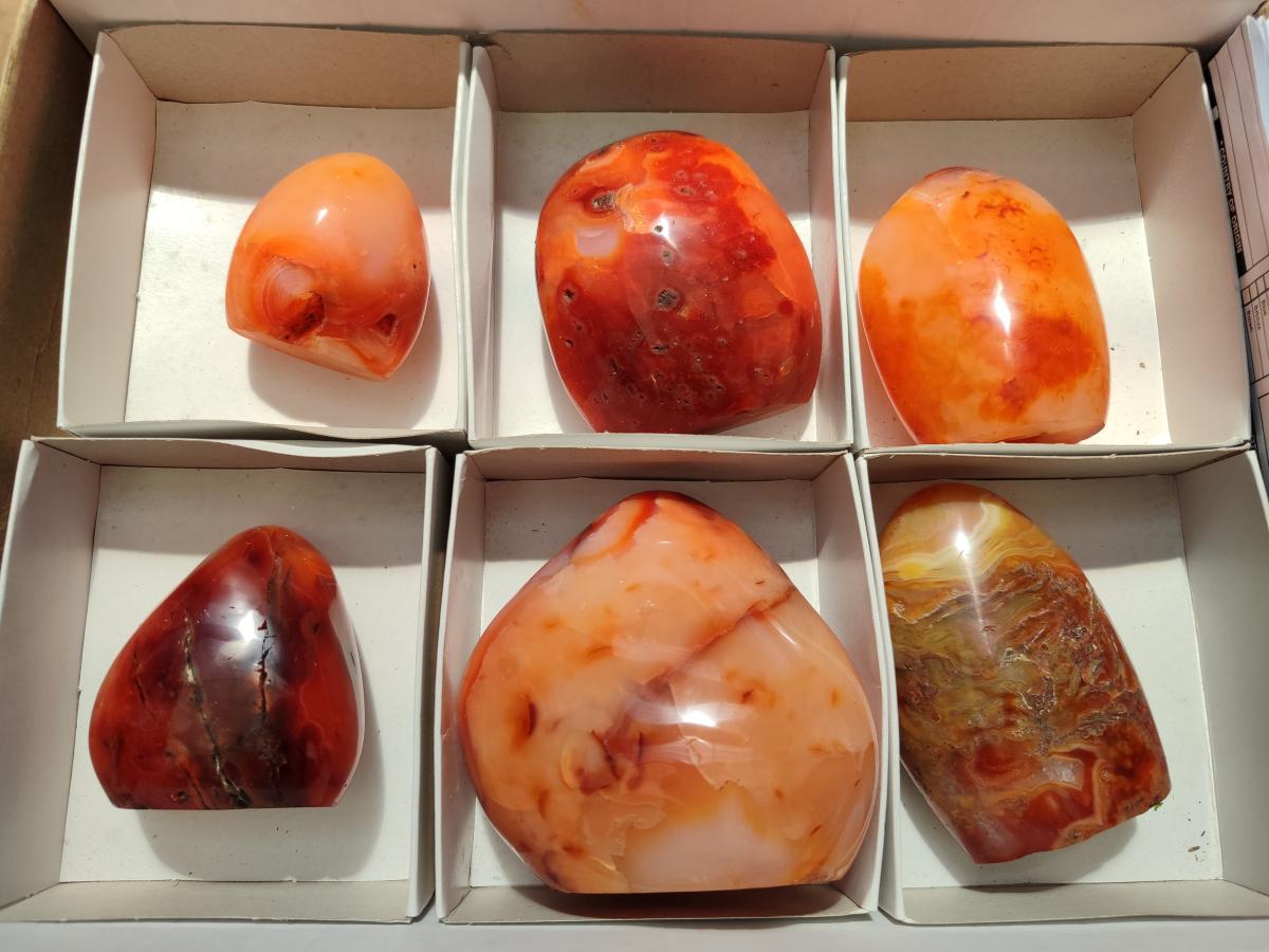 Polished Carnelian Agate Gemstone Standing Free Forms x 6 From Madagascar - Toprock Gemstones and Minerals 