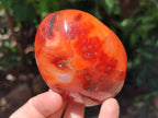 Polished Carnelian Agate Gemstone Standing Free Forms x 6 From Madagascar - Toprock Gemstones and Minerals 