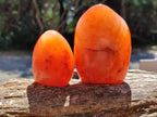 Polished Carnelian Agate Gemstone Standing Free Forms x 6 From Madagascar - Toprock Gemstones and Minerals 