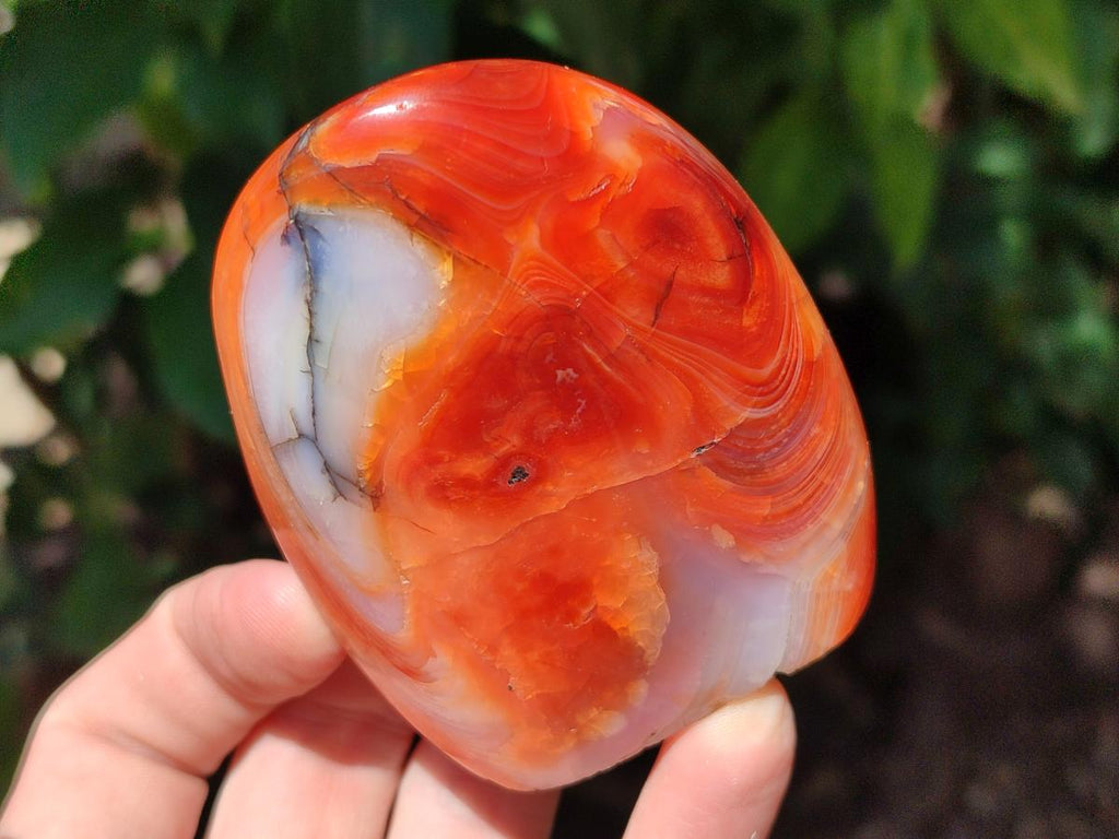 Polished Carnelian Agate Gemstone Standing Free Forms x 6 From Madagascar - Toprock Gemstones and Minerals 