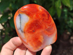 Polished Carnelian Agate Gemstone Standing Free Forms x 6 From Madagascar - Toprock Gemstones and Minerals 
