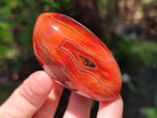Polished Carnelian Agate Gemstone Standing Free Forms x 6 From Madagascar - Toprock Gemstones and Minerals 