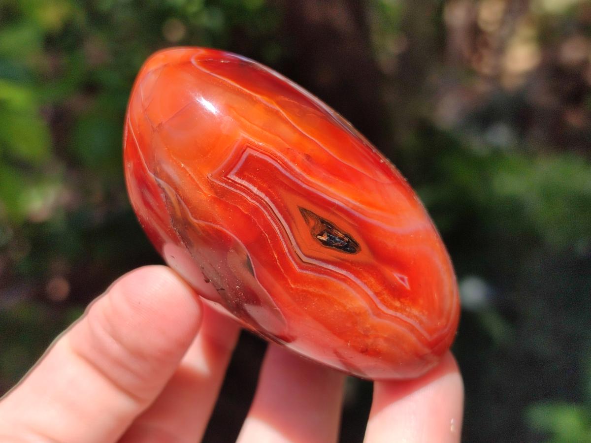 Polished Carnelian Agate Gemstone Standing Free Forms x 6 From Madagascar - Toprock Gemstones and Minerals 