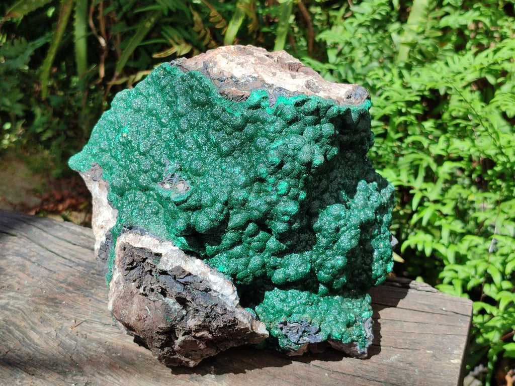 Natural XL Botryoidal Crystalline Ball Malachite On Dolomite Specimen x 1 From Mindingi Mine, Kambove, Congo - Toprock Gemstones and Minerals 