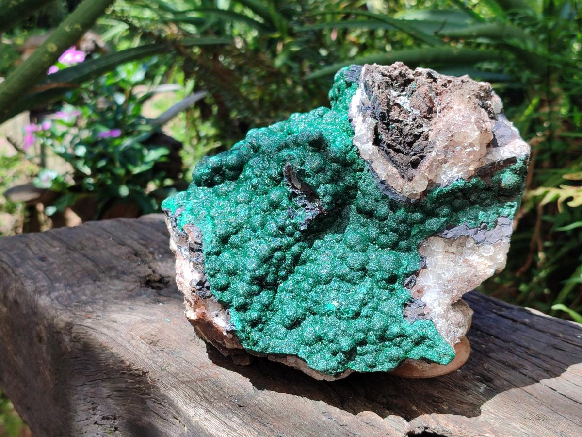 Natural XL Botryoidal Crystalline Ball Malachite On Dolomite Specimen x 1 From Mindingi Mine, Kambove, Congo - Toprock Gemstones and Minerals 