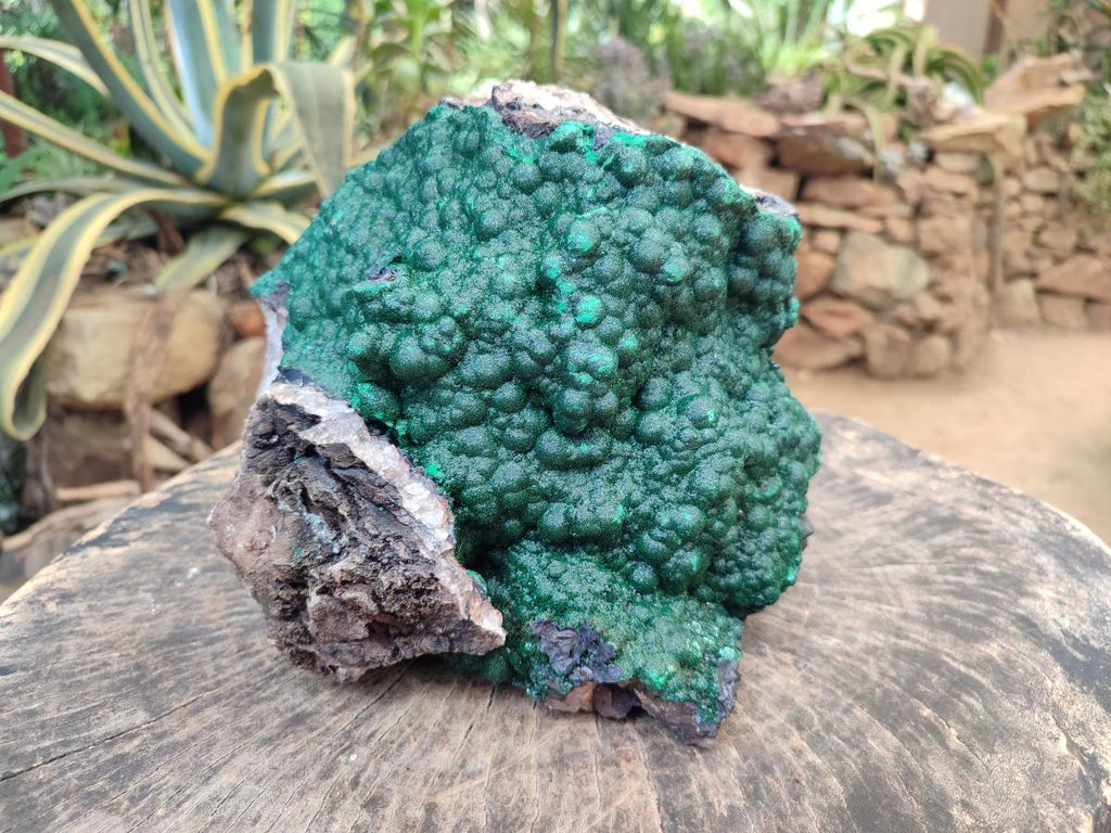 Natural XL Botryoidal Crystalline Ball Malachite On Dolomite Specimen x 1 From Mindingi Mine, Kambove, Congo - Toprock Gemstones and Minerals 