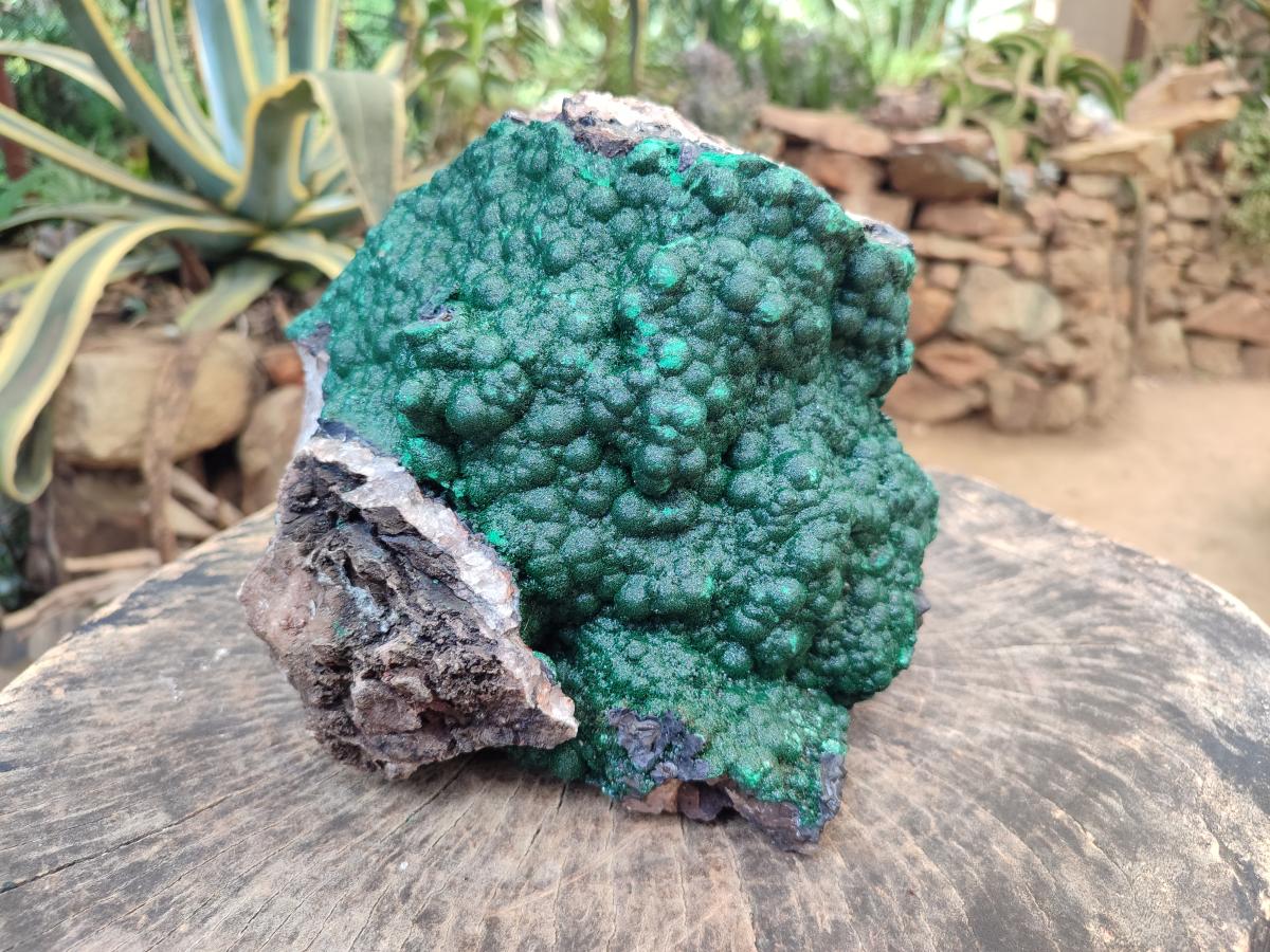 Natural XL Botryoidal Crystalline Ball Malachite On Dolomite Specimen x 1 From Mindingi Mine, Kambove, Congo - Toprock Gemstones and Minerals 