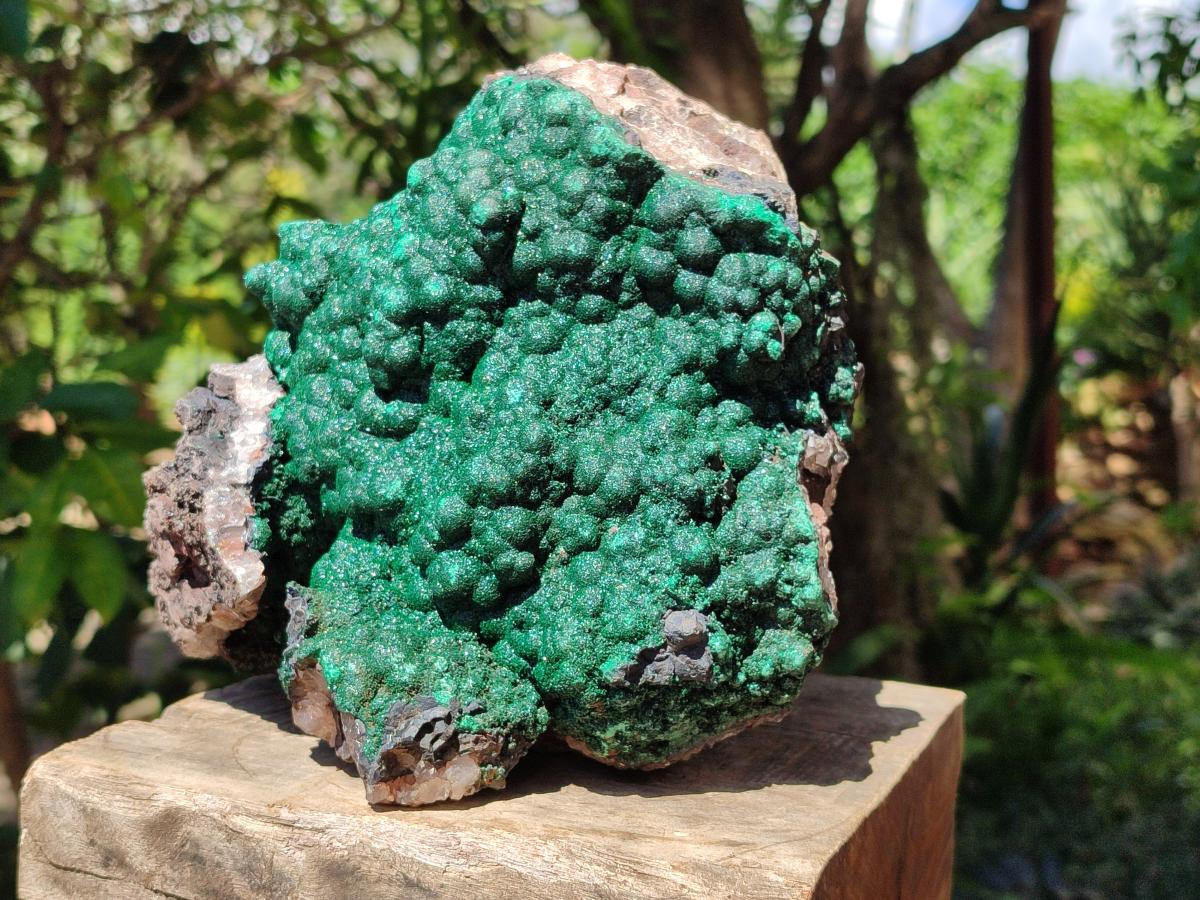 Natural XL Botryoidal Crystalline Ball Malachite On Dolomite Specimen x 1 From Mindingi Mine, Kambove, Congo - Toprock Gemstones and Minerals 