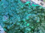 Natural XL Botryoidal Crystalline Ball Malachite On Dolomite Specimen x 1 From Mindingi Mine, Kambove, Congo - Toprock Gemstones and Minerals 