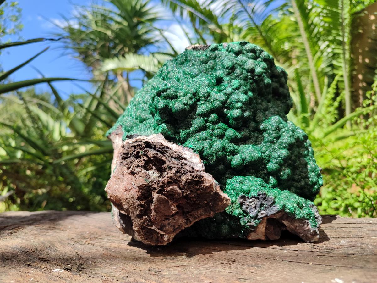 Natural XL Botryoidal Crystalline Ball Malachite On Dolomite Specimen x 1 From Mindingi Mine, Kambove, Congo - Toprock Gemstones and Minerals 