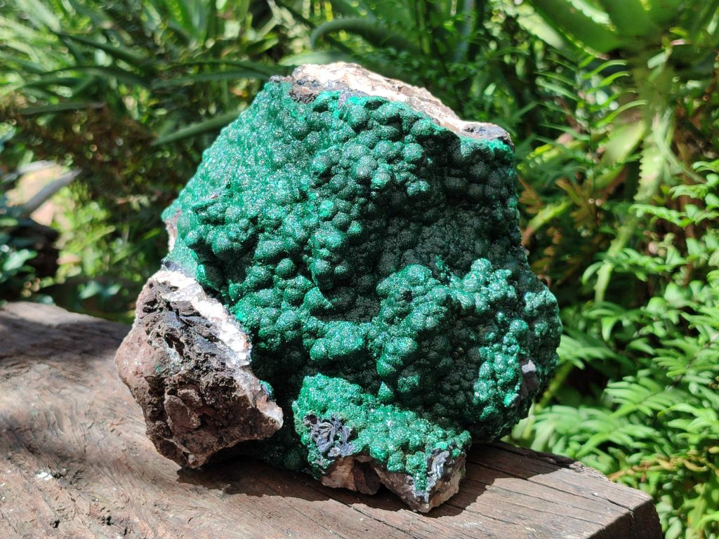 Natural XL Botryoidal Crystalline Ball Malachite On Dolomite Specimen x 1 From Mindingi Mine, Kambove, Congo - Toprock Gemstones and Minerals 