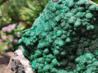 Natural XL Botryoidal Crystalline Ball Malachite On Dolomite Specimen x 1 From Mindingi Mine, Kambove, Congo - Toprock Gemstones and Minerals 
