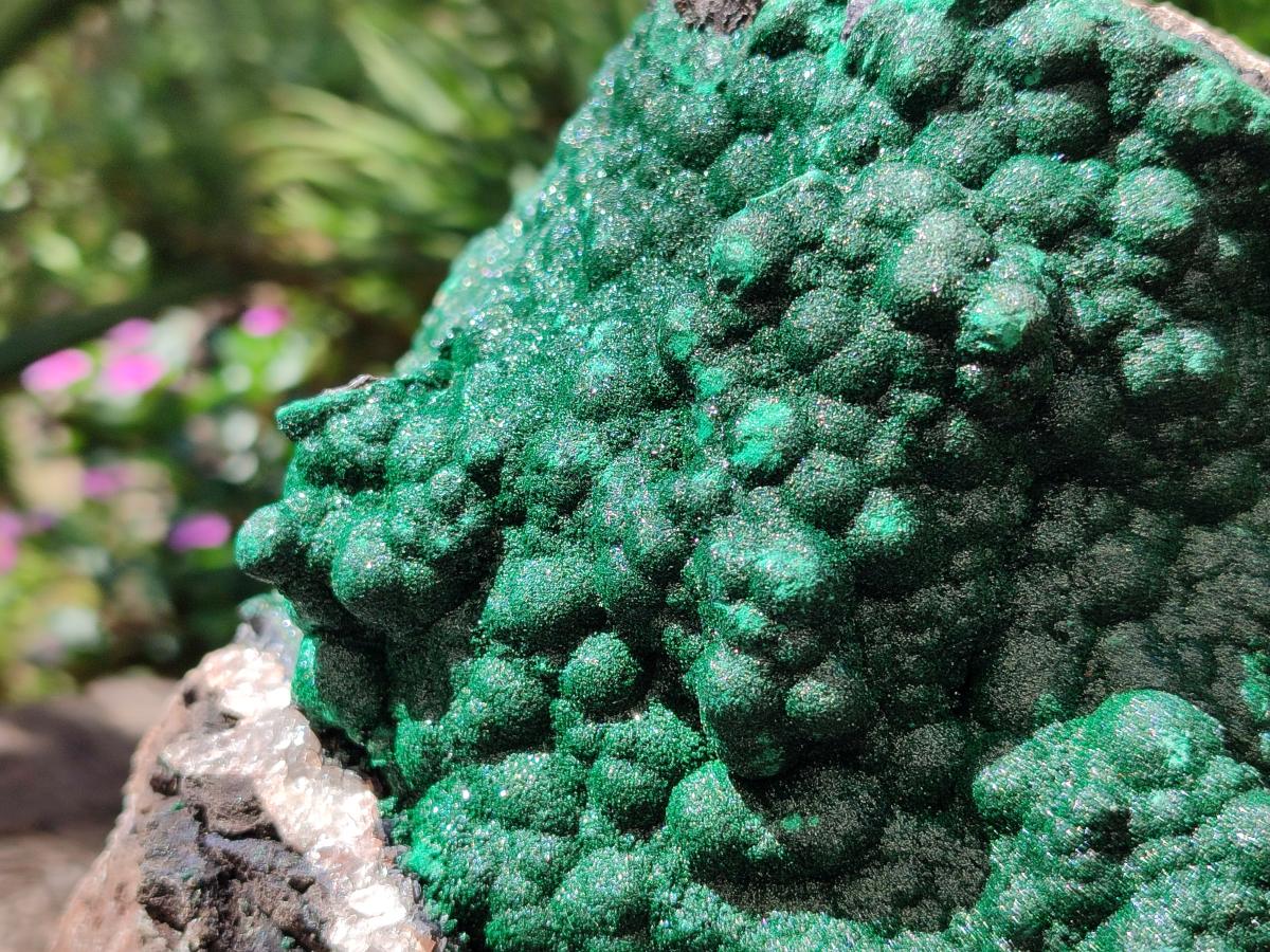 Natural XL Botryoidal Crystalline Ball Malachite On Dolomite Specimen x 1 From Mindingi Mine, Kambove, Congo - Toprock Gemstones and Minerals 