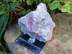 Natural Pink Rubellite Tourmaline Specimens x 2 From Karibib, Namibia - Toprock Gemstones and Minerals 