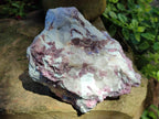 Natural Pink Rubellite Tourmaline Specimens x 2 From Karibib, Namibia - Toprock Gemstones and Minerals 