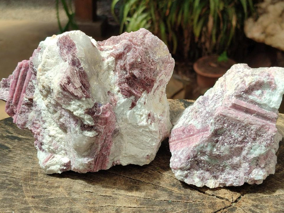 Natural Pink Rubellite Tourmaline Specimens x 2 From Karibib, Namibia - Toprock Gemstones and Minerals 